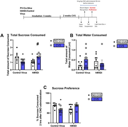 Figure 5. PV IN inhibition attenuates effects of CVS on sucrose preference