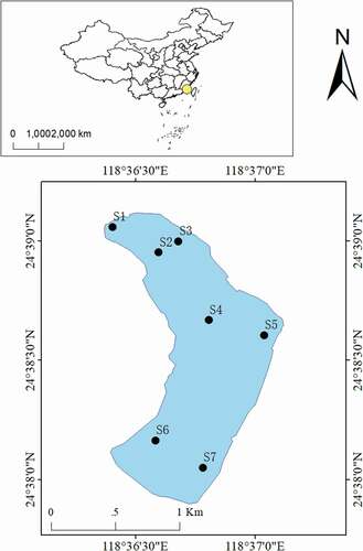 Figure 1. Sediment sampling areas of Longhu Lake at Quanzhou in China (S1: inlet; S2: upstream; S3: upstream; S4: mid – stream; S5: mid – stream; S6: downstream; S7: downstream)