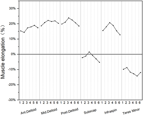 Figure 8 This figure shows the effect of 6 different glenosphere eccentricities on the length changes of the anterior, middle, and posterior bundles of the deltoid muscle and the rotator cuff muscles in the T0L4 combination. 1, 2, 3, 4, 5, and 6 represent concentricity, inferior, posterior, anterior, anteroinferior, and posteroinferior glenosphere eccentricities, respectively. A positive percentage indicates elongation of the muscle relative to the normal shoulder, whereas a negative percentage indicates shortening of the muscle relative to the normal shoulder.