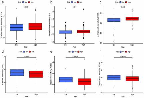 Figure 10. Prediction of chemotherapy response. IC50 of camptothecin (a), vinblastine (b), and methotrexate (c) in the high-risk group were significantly higher than that in the low-risk group. On the contrary, IC50 of cisplatin (d), docetaxel (e), and thapsigargin (f) were lower in the high-risk group