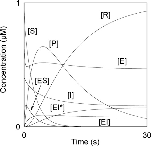 Figure 1 Progress curves of the species involved in Scheme 1 obtained by numerical solution of the set of differential equations that describes the kinetics of the enzyme system. The arbitrary values used for the initial concentrations and rate constants are: , ,