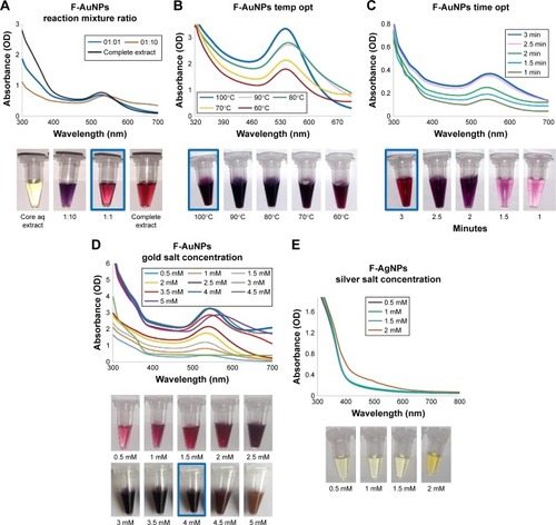 Figure 2 Optimization studies based on UV–visible spectral analysis for gold and silver nanoparticles production by C. sativa fiber extract.Notes: The optimized parameters for F-AuNPs were as follows: reaction mixture ratio (extract:water) (A), temperature (B), time (C) and gold salt concentration (D). For F-AgNPs, an attempt was made to optimize silver salt concentration (E).Abbreviations: aq, aqueous; C. sativa, Cannabis sativa; F-AgNPs, fiber-silver nanoparticles; F-AuNPs, fiber–gold nanoparticles; OD, optical density; temp opt, temperature optimization; UV, ultraviolet.