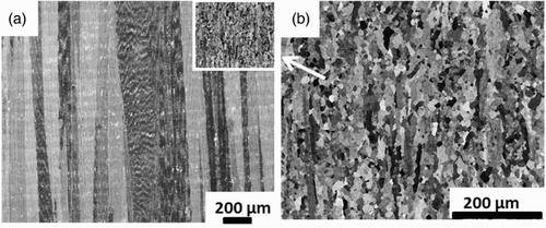 10 Influence of different processing strategies on the grain structure of IN718. SEM-micrograph showing a columnar grain structure a and an equiaxed grain structure b in a longitudinal section parallel to the building direction (for details see Ref. Citation25)