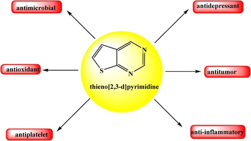 Figure 2. Some biological activities of thieno[2,3-d]pyrimidine nucleus.