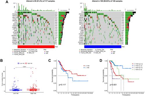 Figure 9 The mutation profile and TMB analysis. (A) Mutation profile of CSCC patients in high- and low-risk groups. (B) The relationship between the risk signature and TMB. (C) The association between TMB and OS. (D) Kaplan-Meier curves of OS is shown for patients classified according to the TMB status and risk model.