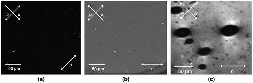 Figure 4. Polarization microscopy textures observed in PAME-IV polymer sandwiched between two glass slides with rubbed polyimide aligning coatings at 80 °C (a–b) and 95 °C (c); (a) and (b) images differ in the orientation of the average nematic director, n, with respect to polarizer (P) and analyzer (A) directions; (c) displays a characteristic negative tactoid texture observed in a biphasic LC-isotropic region.