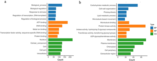 Figure 4. Gene Ontology enrichment of DEGs under drought stress (p ≤ 0.05): (a) GO category of up-regulated DEGs; (b) GO category of down-regulated DEGs.