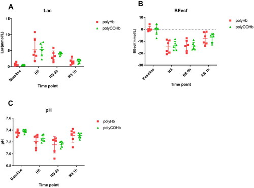 Figure 5. Changes in Lac, BEecf and pH in two groups of rats at different time points (n = 3). (A) Lac, (B) BEecf, (C) pH.