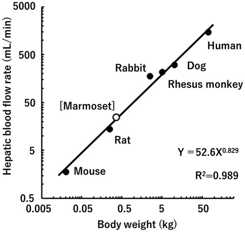 Figure 1. Relationship between hepatic blood flow rates and body weights in humans, marmosets, and other experimental animal species.