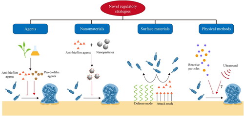 Figure 3. Strategies for regulation of biofilm formation.