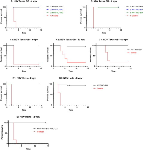 Figure 2. Survival curves after NDV challenge. (A) Texas GB challenge 4 weeks post in ovo vaccination with HVT-ND-IBD at three different doses (1: 1199 PFU/dose, 2: 1658 PFU/dose, 3: 2235 PFU/dose), (B) Texas GB challenge 4 weeks post SC vaccination with HVT-ND-IBD at three different doses (1: 1662 PFU/dose, 2: 2400 PFU/dose, 3: 2880 PFU/dose), (C) Texas GB challenge 9 weeks (graph C1), 50 weeks (graph C2) and 60 weeks (graph C3) post SC vaccination with HVT-ND-IBD (2000 PFU/dose) mixed with Rispens CVI988 vaccine (1000 PFU/dose); (D) Herts Weybridge 33/56 challenge 4 weeks (graph D1) and 8 weeks (graph D2) post SC vaccination with HVT-ND-IBD (2000 PFU/dose), (E) Herts Weybridge 33/56 challenge 2 weeks post SC vaccination with HVT-ND-IBD (7924 PFU/dose) and live ND C2 vaccine.