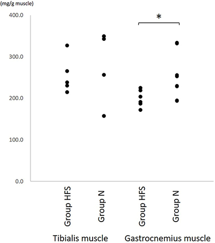 Figure 4 The protein concentration of the tibialis and gastrocnemius muscle. The protein concentration of the gastrocnemius muscle in Group HFS was significantly lower than that in Group N. *P < 0.05 using Mann–Whitney U-test.