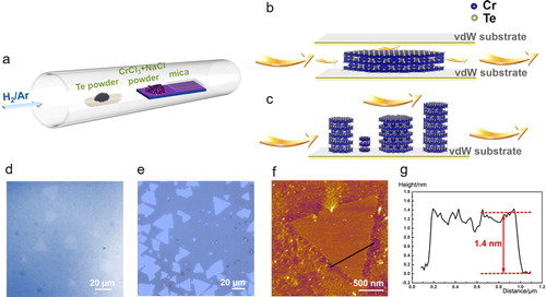 Figure 1. a, A schematic diagram of the CVD growth process. Schematic illustrations of the growth processes of Cr2Te3 using b, space-confined and c, conventional CVD, respectively. An optical microscope image of Cr2Te3 grown on mica utilizing d, the space-confined CVD and e, conventional CVD process. f, An AFM image and g, The height profile of a single Cr2Te3 flake. The thickness is ∼1.4 nm, corresponding to a single unit cell.