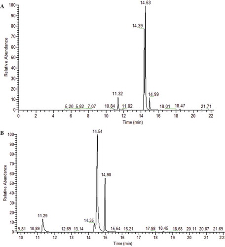 Figure 2. Chromatograms of GC-MS (Thermofisher) of FAMEs sesame oil; A: chromatogram of GC-MS of unroasted sesame seeds oil, B: chromatogram of GC-MS of roasted sesame seeds oil.