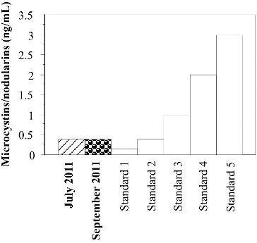 Figure 6. Microcystins/nodularins (ng mL−1) in the water samples from Golyamo Skalensko Lake collected in 2011 detected by ELISA.