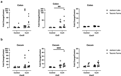 Figure 5. Expression of chemokines in the cecum and colon. Levels of Cxcl5, Ccl3, and Cxcl1 determined by RT-qPCR in RNA extracted 24 hours after indicated treatment from (a) colon and (b) cecum of C57BL/6 mice from either Jackson Labs or Taconic Farms. Data were normalized to data from Jackson Labs mice treated with PBS. Each data point represents one mouse sample. Mean and standard error were calculated by averaging results from two independent experiments. Significance was determined using a Mann-Whitney test; **p < 0.01, ***p < 0.001.