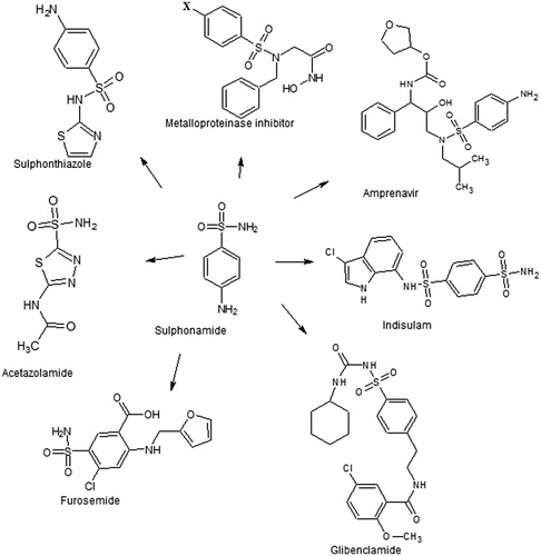 Figure 1. Schematic representation of sulfonamide derivatives.
