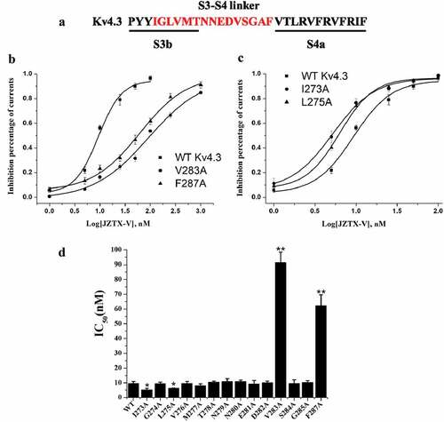 Figure 5. Inhibitory Effect of JZTX-V on Alanine mutants of S3b-S4 region in Kv4.3 voltage-sensing domain. (a) Alanine scanning on voltage-sensing domains of Kv4.3. Amino acid residues marked in red were replaced by alanine. (b) The dose–inhibition curves of V283A and F287A. Mutation of V283A and F287A reduced sensitivity to the JZTX-V by ~10-and~ 6-fold with IC50 of 91.3 ± 7.0 and 62.2 ± 7.4 nM, respectively. (c) The dose–inhibition curves of I273A and L275A. The IC50 of I273A and L275A were 5.1 ± 1.1 nM and 6.3 ± 0.2 nM, respectively. (d) Histogram of IC50 value for each mutant. The affinity of mutants, V282A and F286A, to JZTX-V decreased significantly, while the affinity of I273A and L275A to JZTX-V increased significantly (*P < 0.05 or ** P < 0.01 Vs wild-type Kv4.3). All data were presented as means ±SD, and came from 4 ~ 6 independent cell experiments.