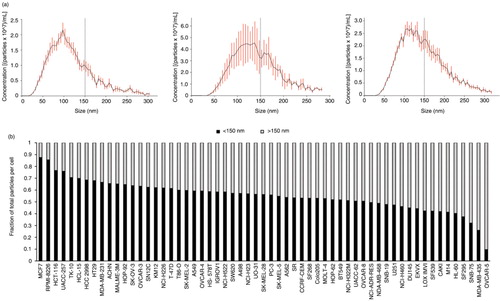 Fig. 6.  Cancer cells secrete distinct vesicle populations. (a) Representative NTA graphs of EV analysis from MCF7 (left), SK-MEL-5 (middle) and MD-MB-435 (right) show differences in the quantity of vesicles <150 nm and >150 nm. (b) Proportion of small (<150 nm) and large (>150 nm) vesicles to total number of EV secreted by each cell type varies across the NCI-60 panel.