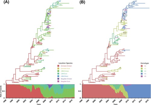 Figure 2. Estimation of changes in ecological states and genotypes on a time-scaled phylogenetic tree. Ecological states (A) and genotypes (B) of H9N2 viruses were reconstituted on a discrete state space and visualized on a time-scaled phylogenetic tree of the HA gene. The graph attached to the trees shows the proportional Markov jump reward of ecological state (A) and genotypes (B) over time.