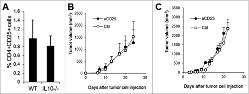 Figure 5. Anti-CD25 antibody treatment does not affect tumor growth. The percentage of tumor-infiltrating CD4+CD25+ T cells was quantified (n = 7 per group) based on flow cytometry analysis (A). Four doses of anti-CD25 (PC-61.5.3) or control antibody (HRPN) were injected intraperitoneally into WT (B) or IL-10−/− mice (C) at a dose of 400 μg/per mouse at 4-day intervals beginning on day 1 after J558 tumor cell challenge (n = 4 per group). Data shown are representative of 2 experiments with similar results.
