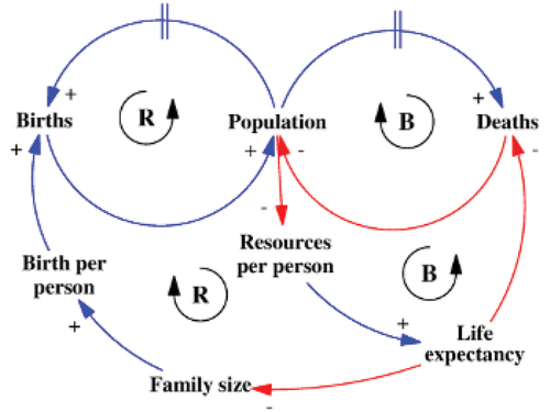 Figure 4. Causal loop diagram.