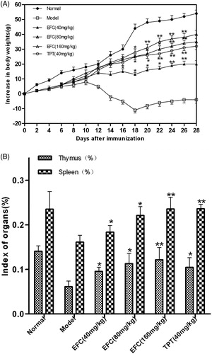 Figure 2. Effects of EFC on body weights and index of immune organs of AA rats [n = 6, mean (S.D.)]. Changes in body weights (A) and index of organs (B) were assessed at each point at the respective time. *p < 0.05, **p < 0.01 versus the model group.