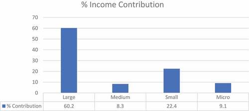 Figure 2. Income by enterprise size (%contribution) in the agriculture and related services industry, 2019.