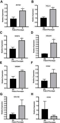 Figure 1 Using qPCR to quantify pro-fibrotic and anti-fibrotic gene expression variation between HTCFs derived from patients medically treated for glaucoma (glaucomatous; G) and patients not treated for glaucoma (non-glaucomatous; NG). The relative mRNA expression of ACTA2, ITGβ-5, VEGFA, COL3A1 and GREM1 (A–E) were significantly increased for glaucomatous patients. The values were expressed as a mean ±SE from three independent experiments (*P<0.05). There is no significant difference in CCN2, COL1A2 and CCN3 mRNA expression (F–H) between HTCFs derived from glaucomatous and non-glaucomatous patients.