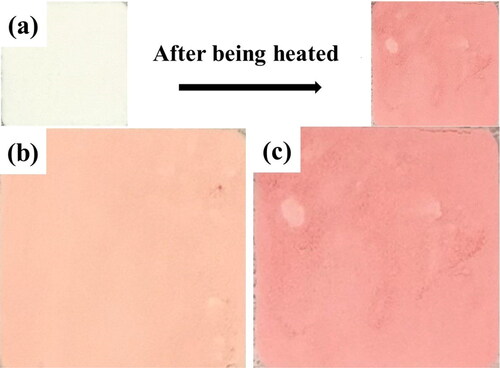 Figure 2. (a) Heating in an oven; colors with different mass ratios of WPI to AA (b) 10 to 0.5; (c) 10 to 1 (2 h aging at 80 °C oven).