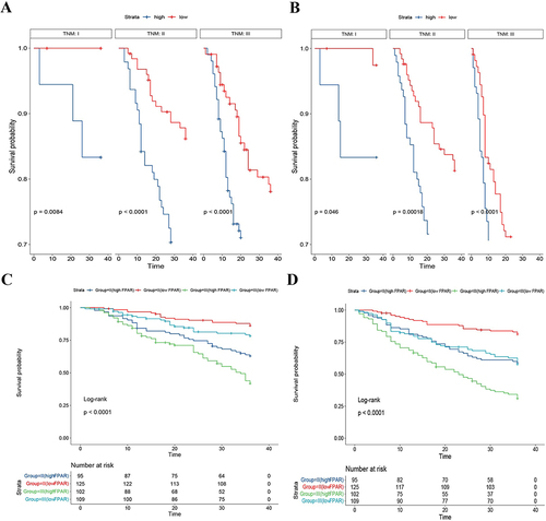 Figure 4 Kaplan–Meier curve of OS and RFS in each subgroup(A). FPAR for OS in TNM-stage; (B). FPAR for RFS in TNM-stage; (C). OS in stage II and III FPAR patients; (D). RFS in stage II and III FPAR patients).