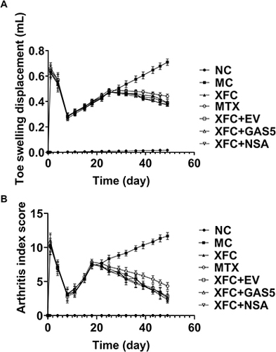 Figure 1 Effect of XFC on toe swelling and arthritis index in AA rats.