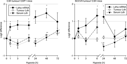 Figure 2.  Fold difference in serum (▾) and tumour LDH activity (o), and Ldha mRNA expression (•) in 200 mm3 C3H mammary carcinoma (left panel) and SCCVII carcinoma (right panel) bearing mice treated with 10% oxygen for 1–72 hours compared to controls. Data represent mean ±s.e.m. (n = 10 for each group for serum LDH, n = 4–5 for each group for tumour LDH, n = 3–4 for each group for Ldha mRNA measurement; *p < 0.05, **p < 0.001 compared to control).