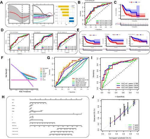 Figure 8 Construction and evaluation of an autophagy-immune-related genes prognosis model. (A) The least absolute shrinkage and selection operator (LASSO) Cox regression analysis was applied to calculate Lasso coefficient values and vertical dashed lines at the best log (lambda) value in the training set. Lasso coefficient profiles of the prognosis-related genes were demonstrated. (B) Receiver operating characteristic (ROC) curves for the prognosis signature and their AUC value were represented 1-, 3-, and 5-year predictions in training set. (C) Kaplan–Meier survival curves displayed that the high-risk subgroup had worse overall survival (OS) than the low-risk subgroup in training set (p<0.001). (D and E) ROC curves and Kaplan–Meier survival curves were used to validate the prognosis signature in overall set, testing set and GSE13507 dataset. (F and G) The DCA curve and multivariate ROC curve were performed to evaluate predictive accuracy of risk score and nomogram. The results showed that the predictive accuracy risk score and nomogram were higher than other clinicopathological features including age, gender, grade, stage. (H) Prognosis-related nomogram was constructed based on risk score in the model and prognosis-associated clinicopathological parameters including age, gender, stage, grade, AJCC T, N, and M, to predict 1-, 3-, and 5-year OS of BLCA patients. (I and J) ROC curves and calibration curves of the nomogram displayed the concordance between predicted and observed 1-, 3- and 5-year OS.