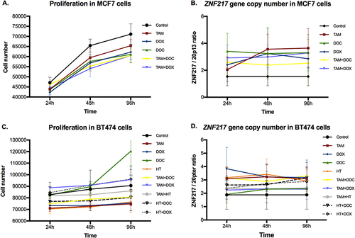 Figure 1 Effects of single and combined treatments on cell proliferation, and on ZNF217 gene copy number in ERα+ cells after 24h, 48h and 96h. (A and B) MCF7 cells. (C and D) BT474 cells. Error bars represents mean standard deviation of 24 replicates. Differences between control and treatments were evaluated with Dunnett’s multiple comparisons test (see Supplementary Tables 1 and 2).