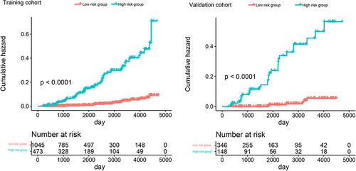 Figure 5 Cumulative hazard analysis of risk group stratification based on the predictor from nomogram prediction. Cumulative hazard analysis showed the T2DM incidence probability of high risk and low risk group between the training cohort and the validation cohort.
