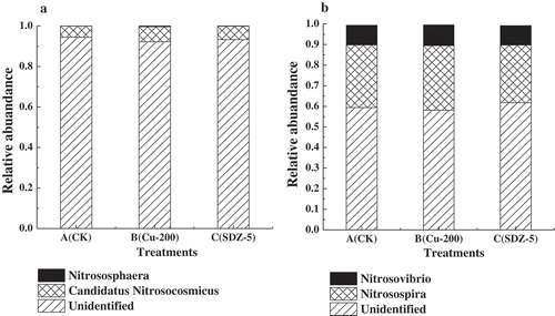 Figure 5. Relative abundance of amoA-AOA (a) and amoA-AOB (b) at genus level of top microbes from A, B and C treatments. Among A treatment was CK, B treatment was added 200 mg kg−1 Cu, C treatment was added 5 mg kg−1 SDZ.