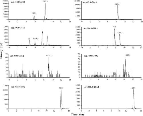 Fig. 16. MRM chromatograms (with variable intensity) from LC-MS/MS analysis of extracts of Alexandrium tamarense isolated from Scottish coastal waters.