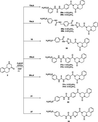 Scheme 4. General synthesis of derivatives 28–33.