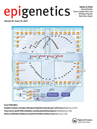 Cover image for Epigenetics, Volume 16, Issue 10, 2021