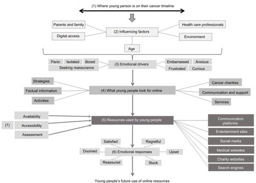 Figure 1 Factors influencing young people’s decision making and actions when accessing online resources.