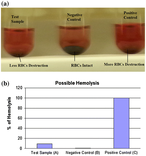 Figure 7. An in vitro biocompatibility assay shows possible hemolysis of CeO2 NCs compared with both positive and negative controls. (A) The test sample (CeO2-NCs) showed minimum destruction of RBCs, and the negative sample exhibited no RBC destruction compared with the positive control. (B) The percentage of hemolysis in test samples and the positive control.