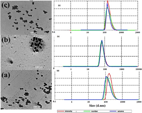 Figure 3. DLS and the TEM images of the NPSt were prepared at different content of (AIBN) of emulsion polymerization (a) 10 mg, (b) 20 mg and (c) 30 mg. prepared at pH of emulsion solution.