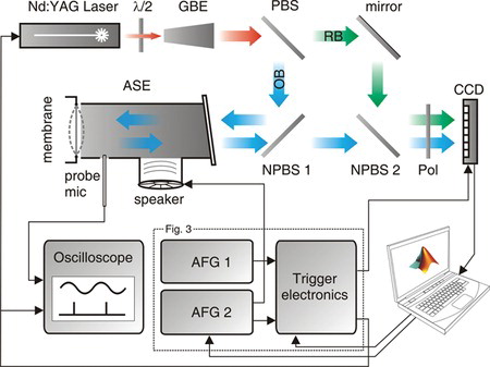 Figure 2 Schematic overview of the setup. Components are discussed in Section 2.2. GBE: Galilean beam expander. (N)PBS: (Non-) polarizing beam splitter. OB: object beam. RB: Reference beam. ASE: Acoustic stimulation element. Pol: Polarizer. CCD: Charge-coupled device. AFG: Arbitrary function generator.