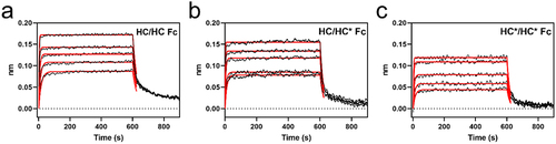 Figure 6. BLI sensorgrams of FcRn binding to Fc subunit of (a) HC/HC homodimer, (b) HC/HC* heterodimer, (c) HC*/HC* homodimer of bsAb-1.