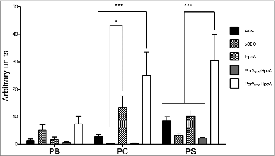 Figure 6. Humoral response of IgG anti-HpaA in mice after oral immunization with Lactococcus lactis strain expressing a PorA-HpaA hybrid driven by nisin-inducible promoter in the pSEC plasmid. Antibodies (as arbitrary units) were determined through ELISA using purified HpaA antigen bound to the plate wells. Five groups of 7 mice each were immunized with PBS, L. lactis carrying only the pSEC vector, L. lactis expressing H. pylori HpaA antigen, the PorA351-HpaA hybrid and the PorA222-HpaA hybrid. The antibodies were evaluated at different stages during the immunization protocol: PI = previous to primary immunization; PB = previous to boosting (week 3), PC = previous to challenge (week 6) and PS = previous to sacrifice (week 9). The PtdIns values were subtracted from the other samples. (*) P < 0.05 and (***) P < 0.001.