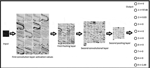 Figure 6. Activation values of different layers for a correctly classified sample image representing the numeral 1 belonging to Dataset 1. The output layer confidence values are also shown