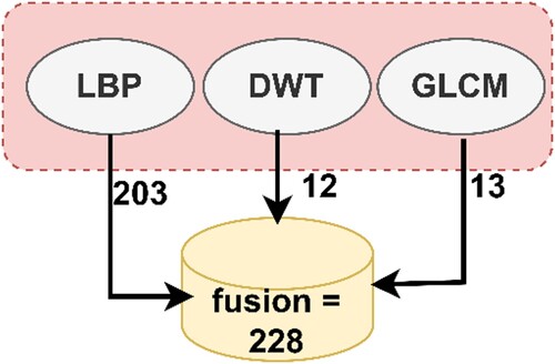 Figure 5. Display of the fusion method among the LBP, DWT, and GLCM method.
