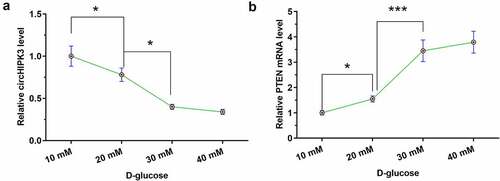 Figure 3. High glucose treatment altered the expression of circHIPK3 and PTEN in AC16 cells.