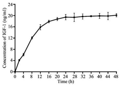 Figure 6. Controlled sustained-release performance test in vitro of GMCDRSSP-IGF1 spidroins